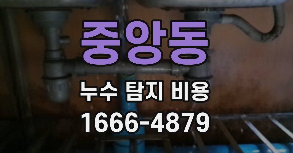 중앙동 누수 탐지 비용