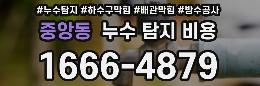 중앙동 누수 탐지 비용