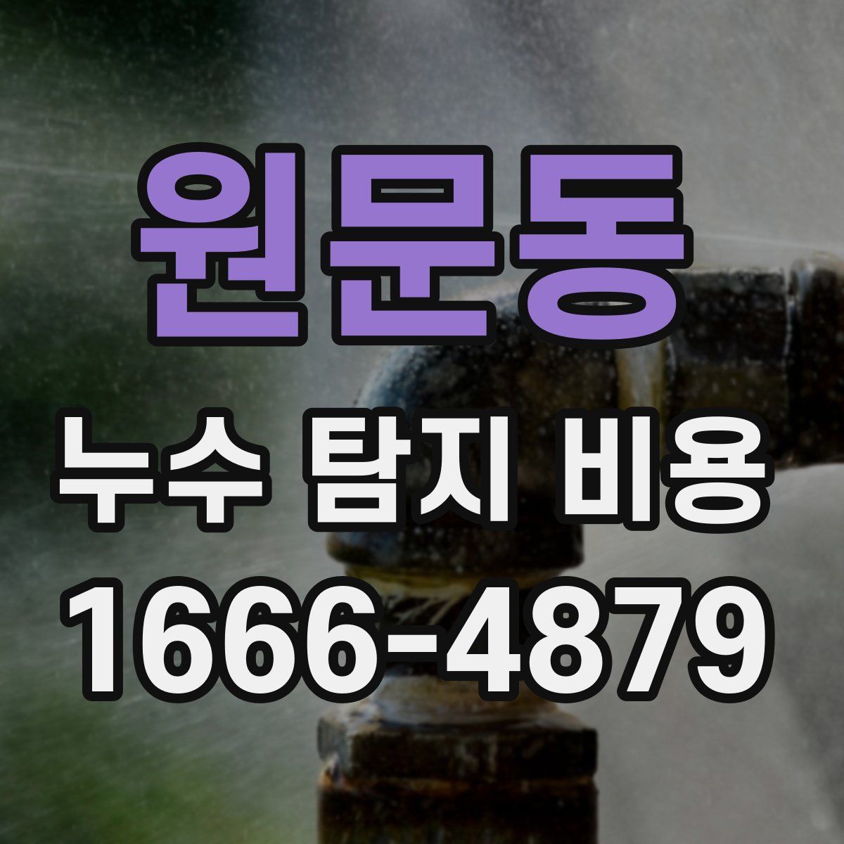 원문동 누수 탐지 비용
