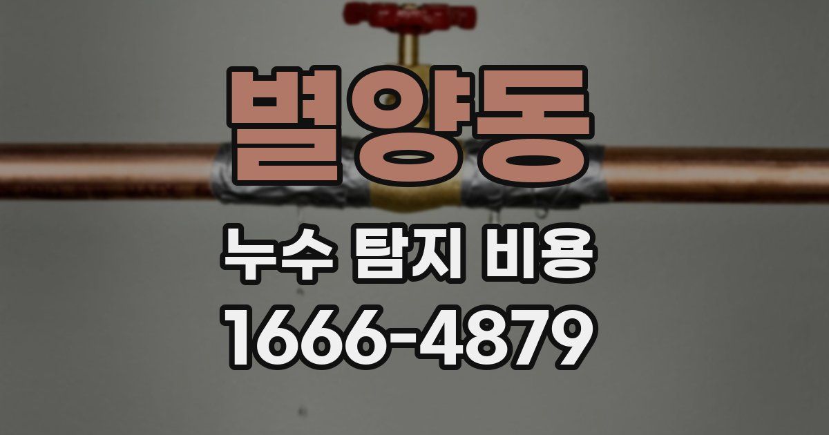별양동 누수 탐지 비용