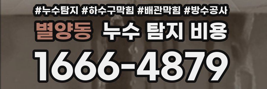 별양동 누수 탐지 비용