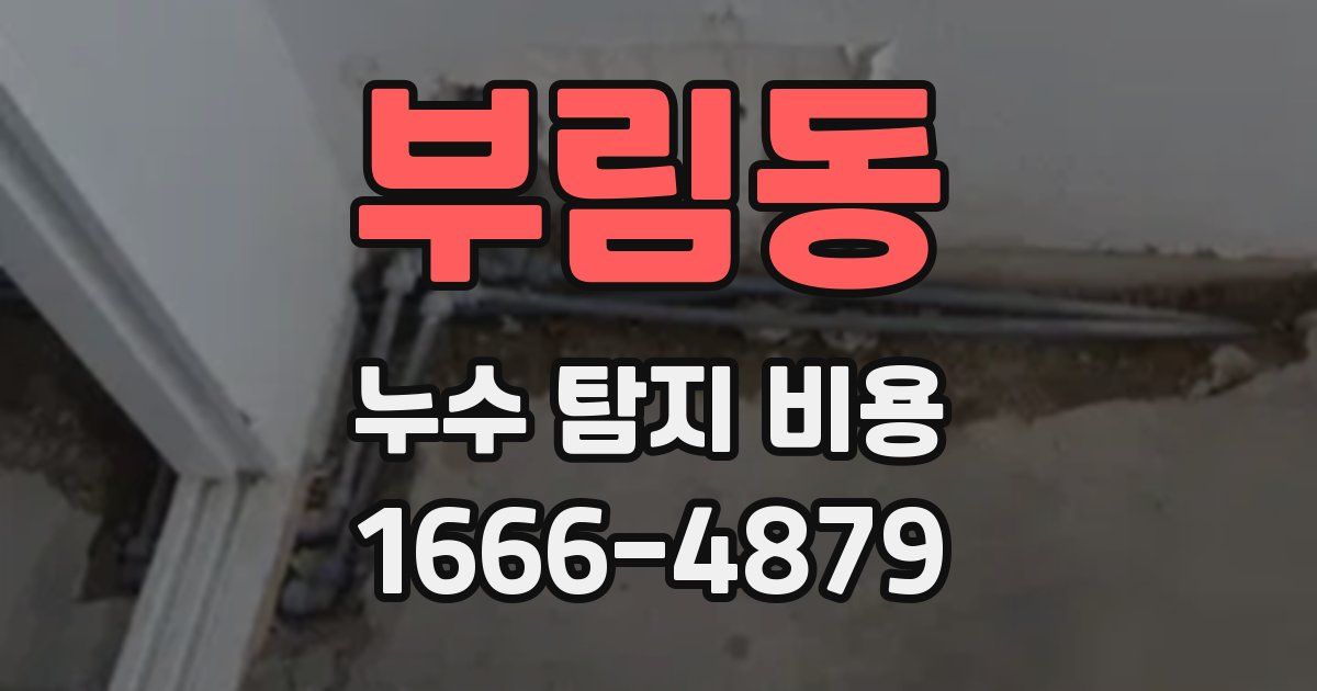 부림동 누수 탐지 비용
