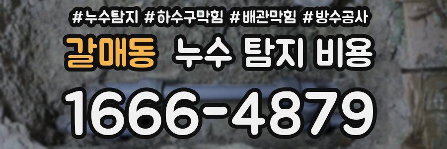 갈매동 누수 탐지 비용