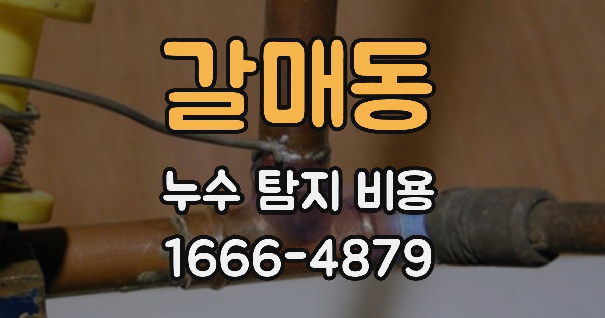 갈매동 누수 탐지 비용