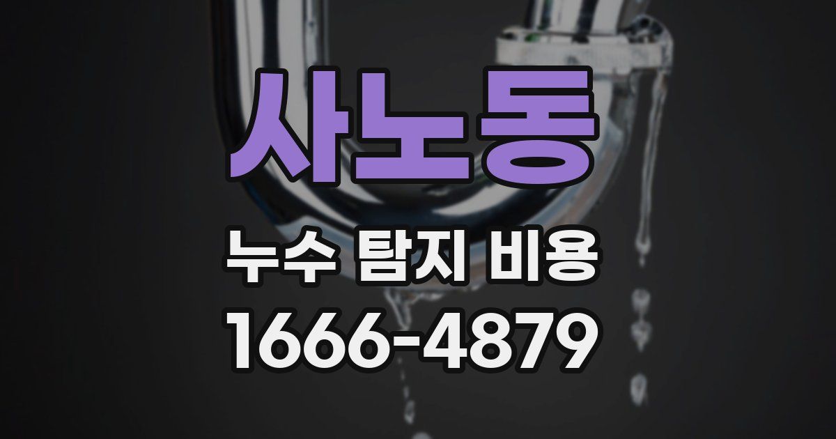 사노동 누수 탐지 비용