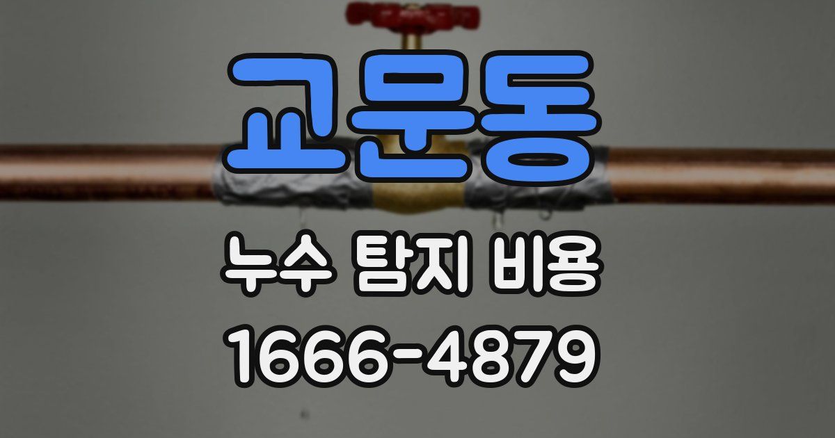교문동 누수 탐지 비용