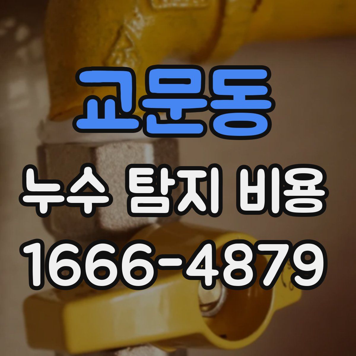 교문동 누수 탐지 비용