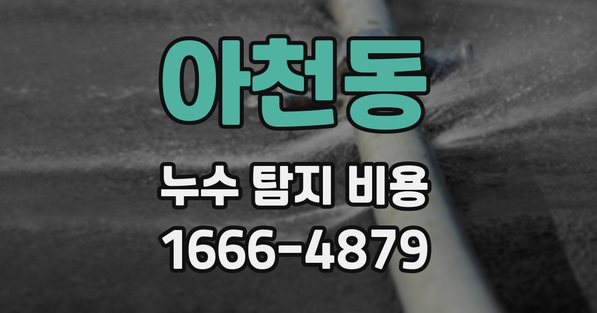 아천동 누수 탐지 비용