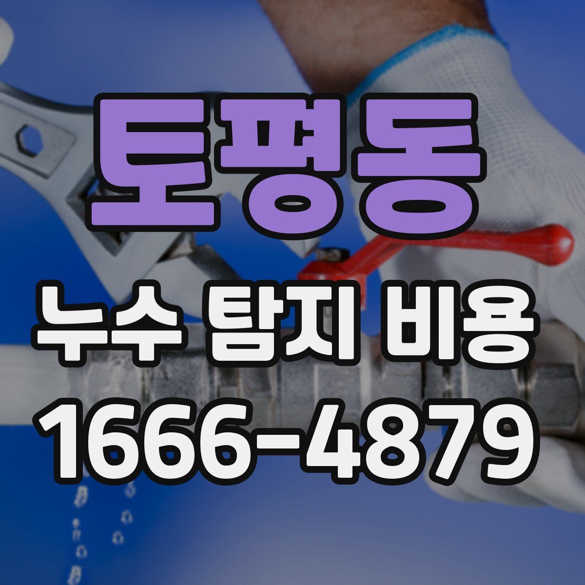 토평동 누수 탐지 비용