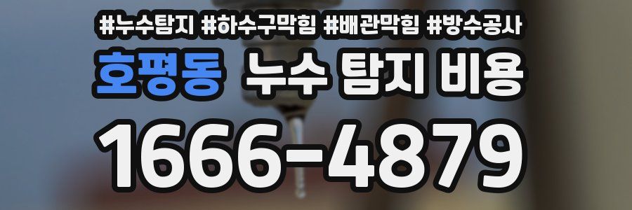 호평동 누수 탐지 비용
