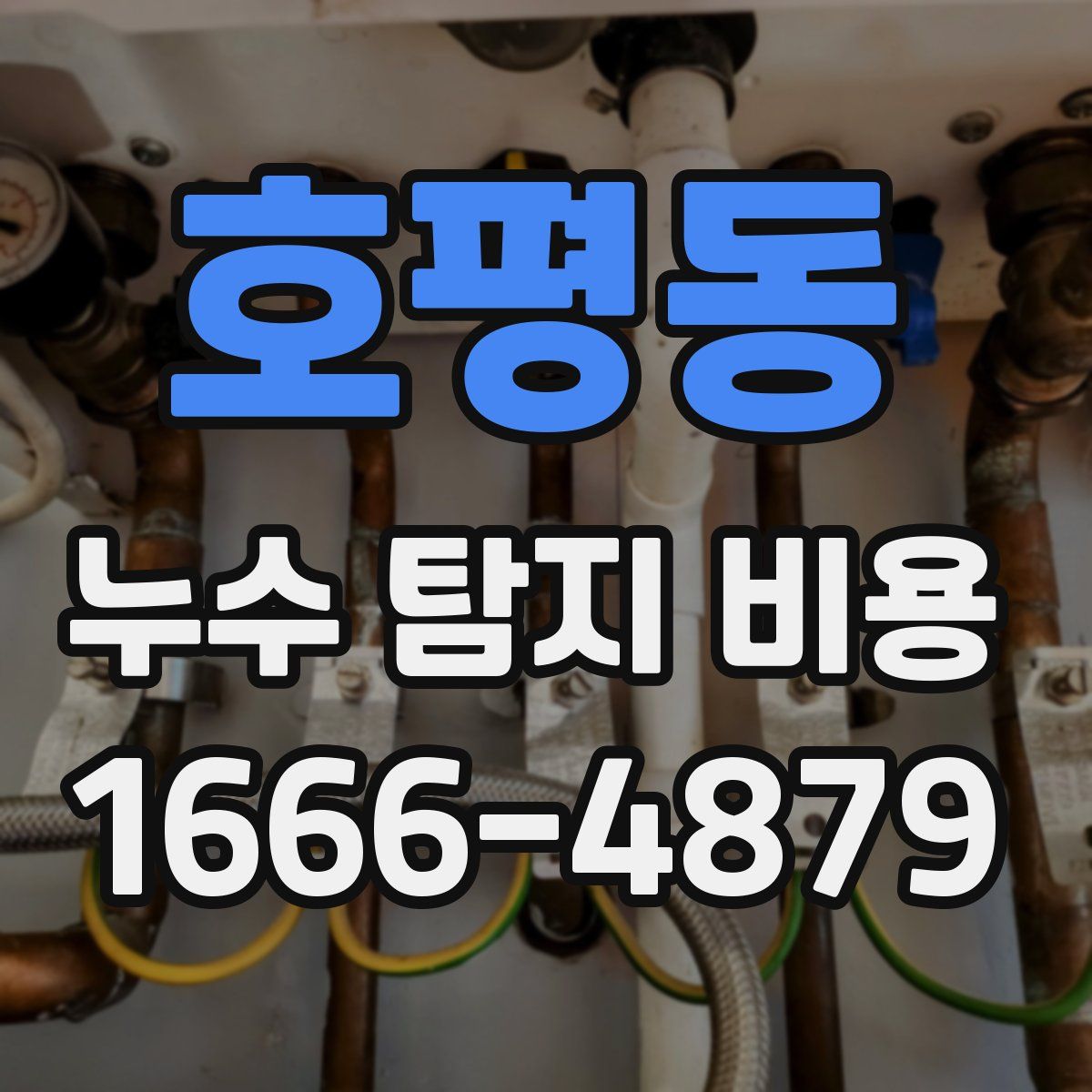 호평동 누수 탐지 비용