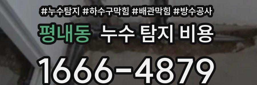 평내동 누수 탐지 비용
