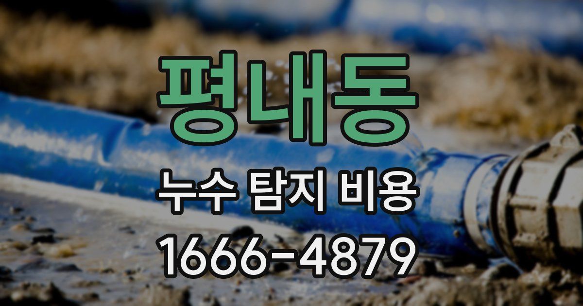 평내동 누수 탐지 비용
