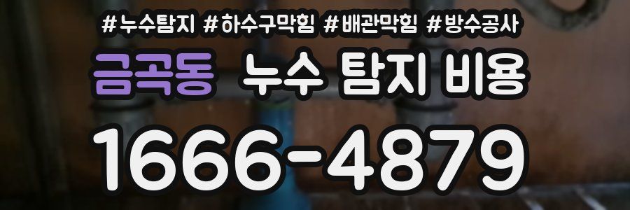 금곡동 누수 탐지 비용