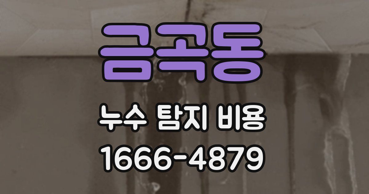금곡동 누수 탐지 비용