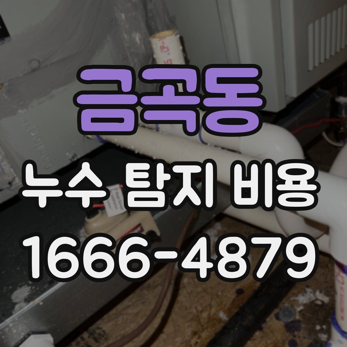 금곡동 누수 탐지 비용