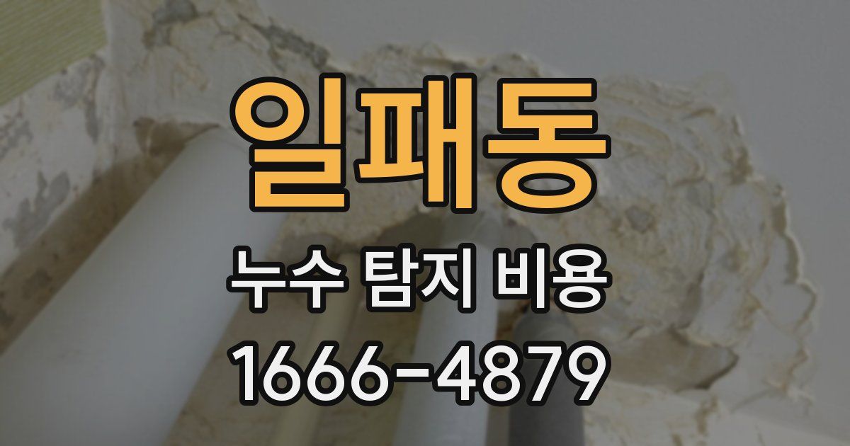 일패동 누수 탐지 비용