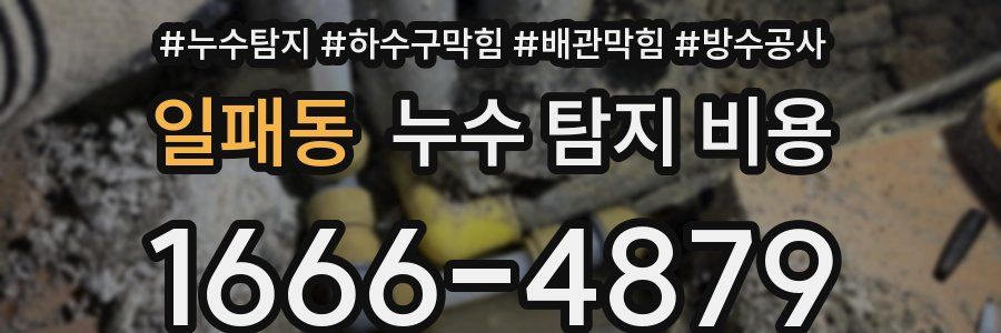 일패동 누수 탐지 비용