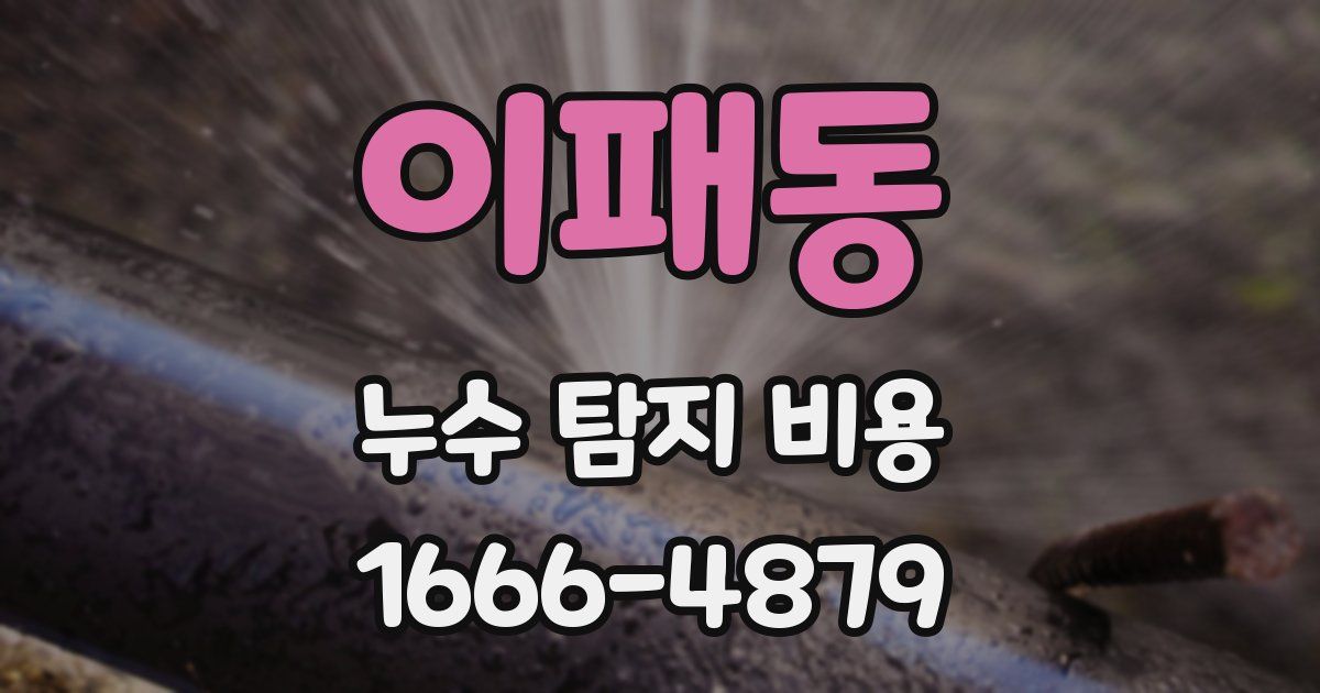 이패동 누수 탐지 비용