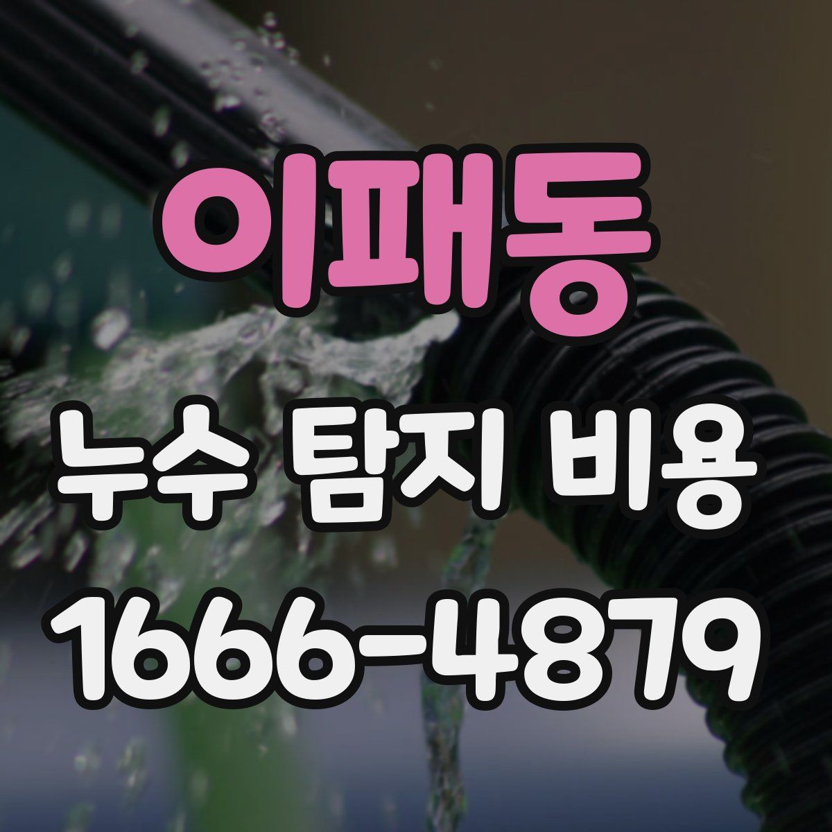 이패동 누수 탐지 비용