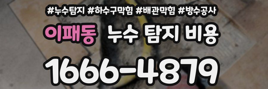 이패동 누수 탐지 비용