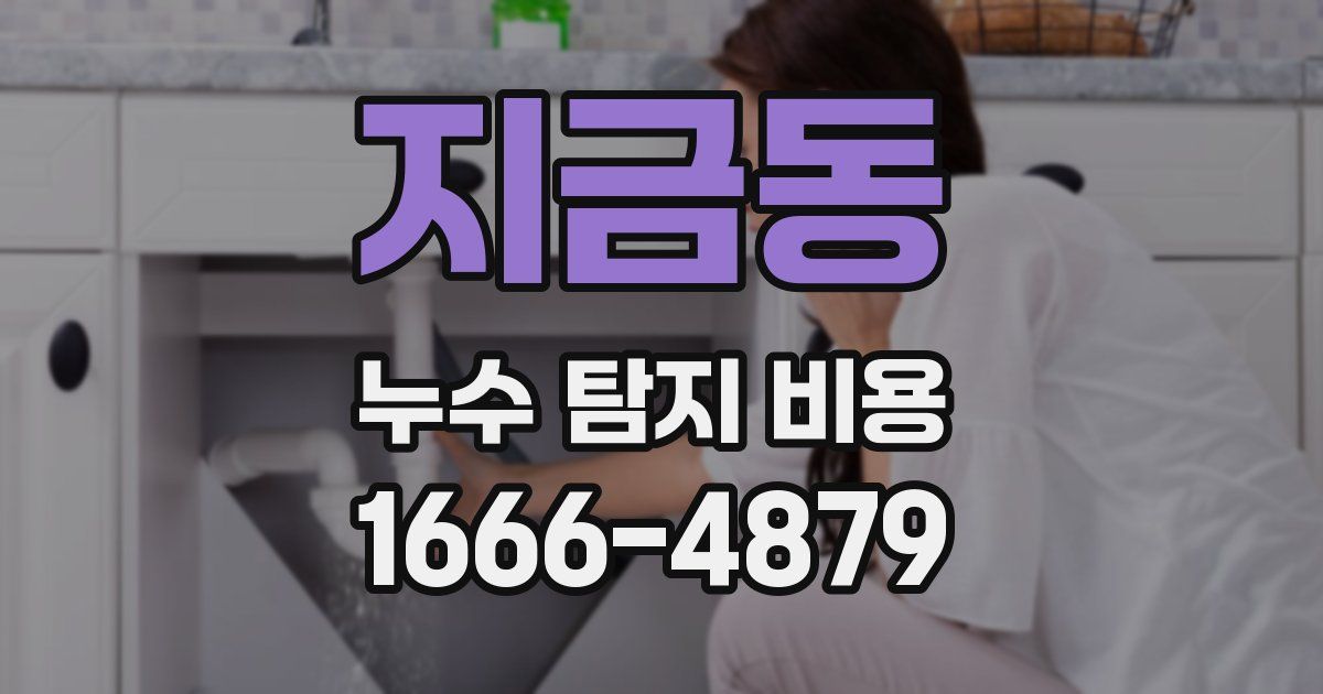 지금동 누수 탐지 비용
