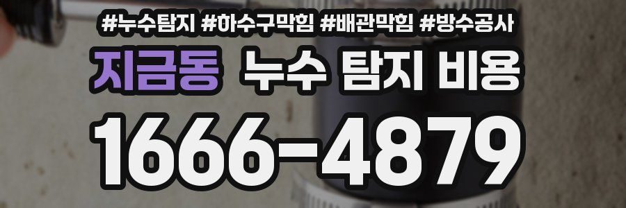 지금동 누수 탐지 비용