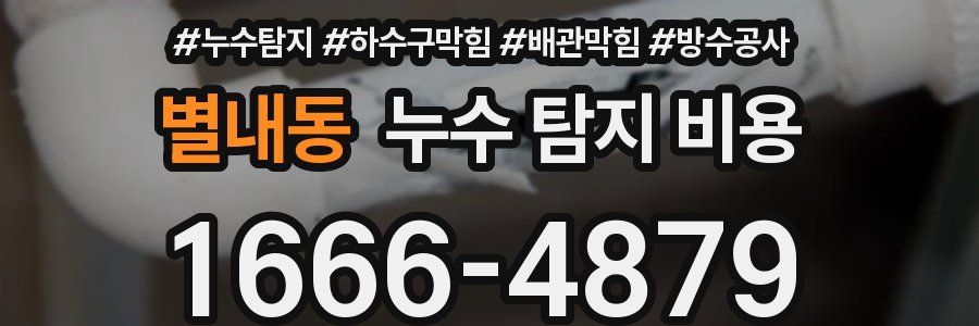 별내동 누수 탐지 비용