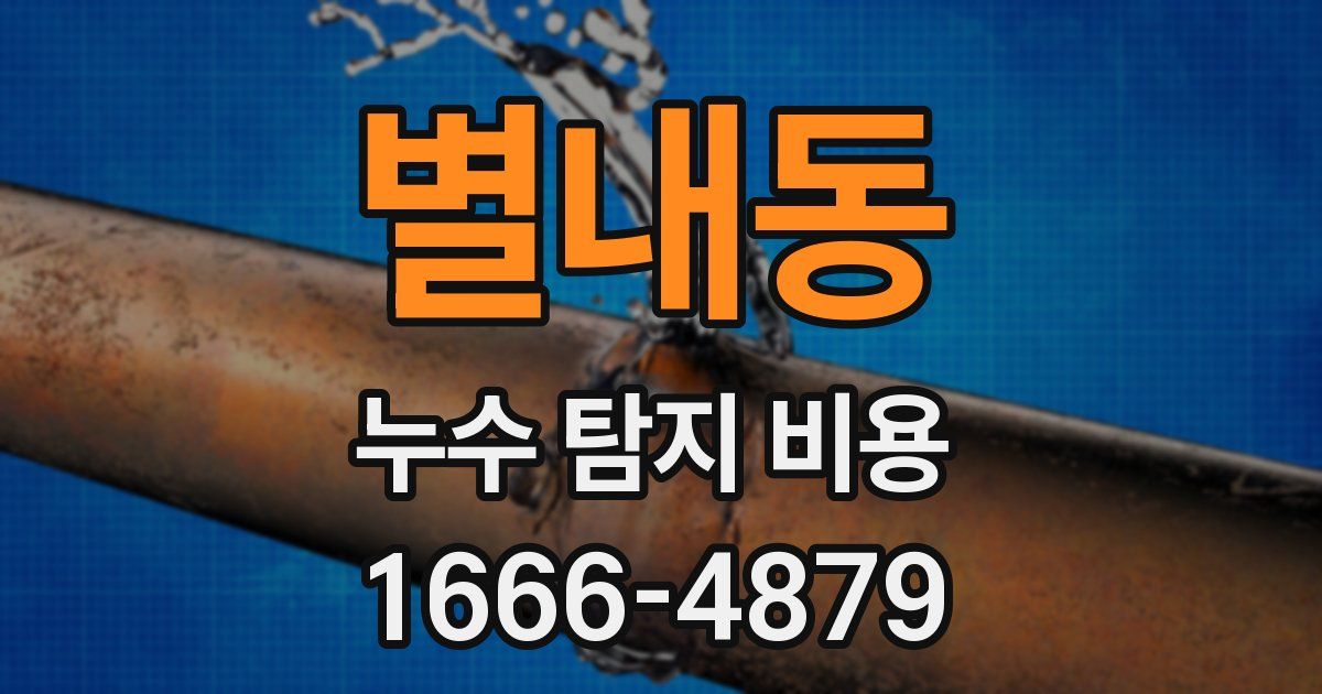 별내동 누수 탐지 비용