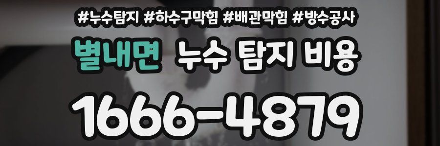 별내면 누수 탐지 비용