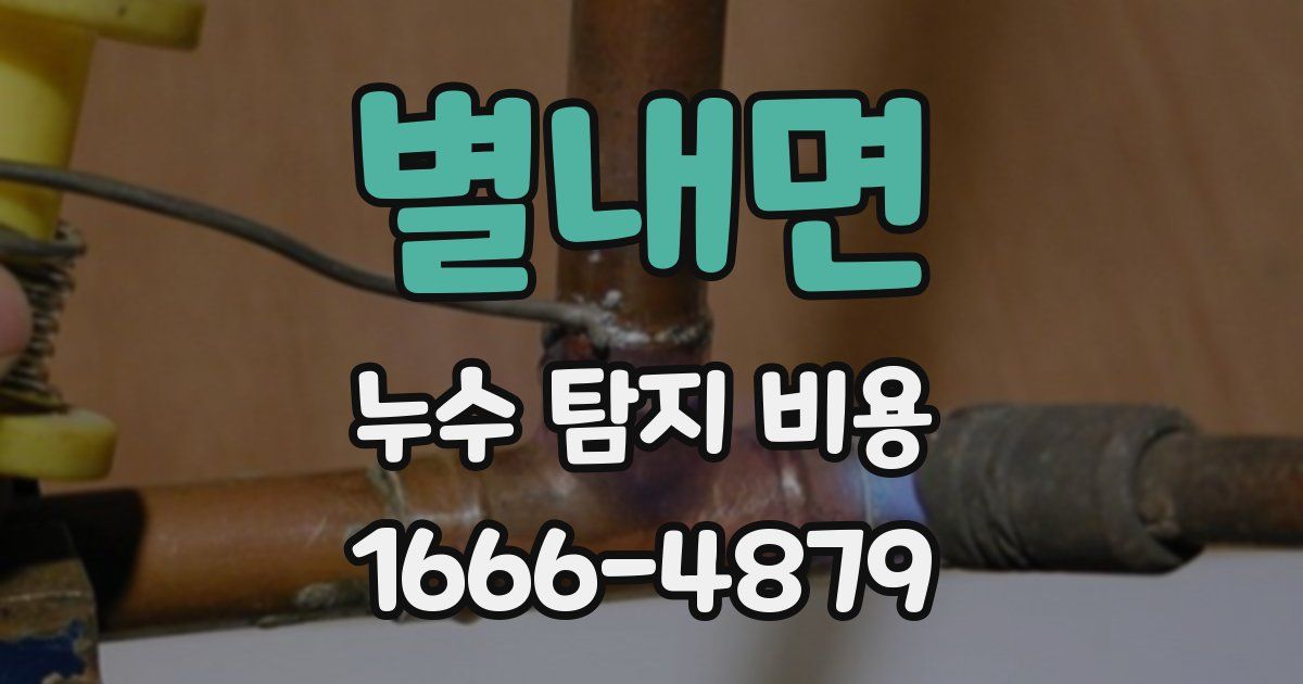 별내면 누수 탐지 비용