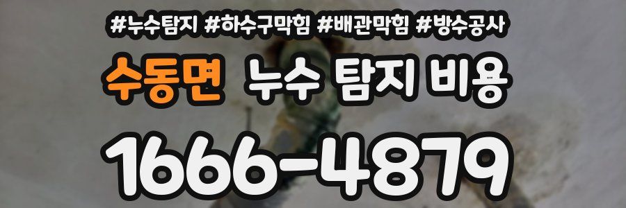 수동면 누수 탐지 비용