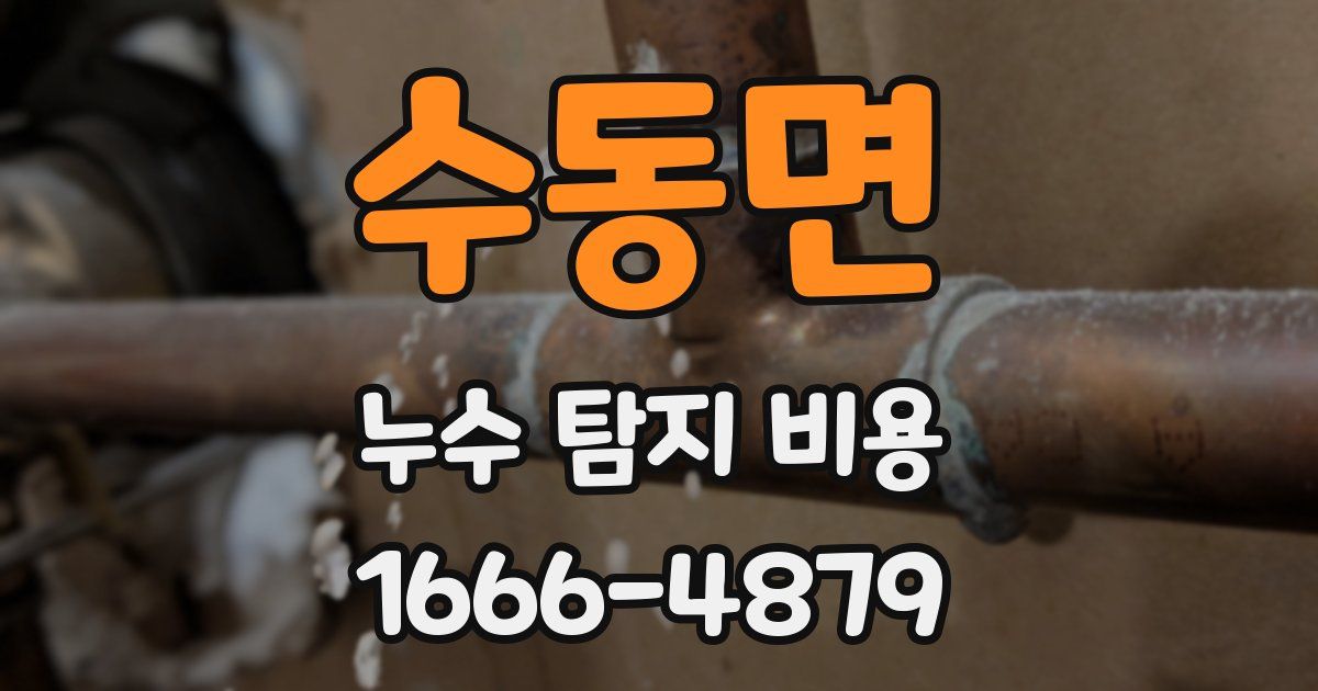 수동면 누수 탐지 비용