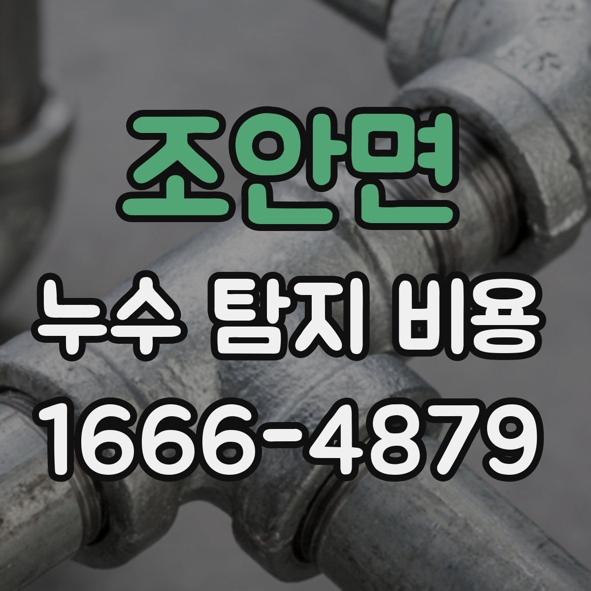 조안면 누수 탐지 비용