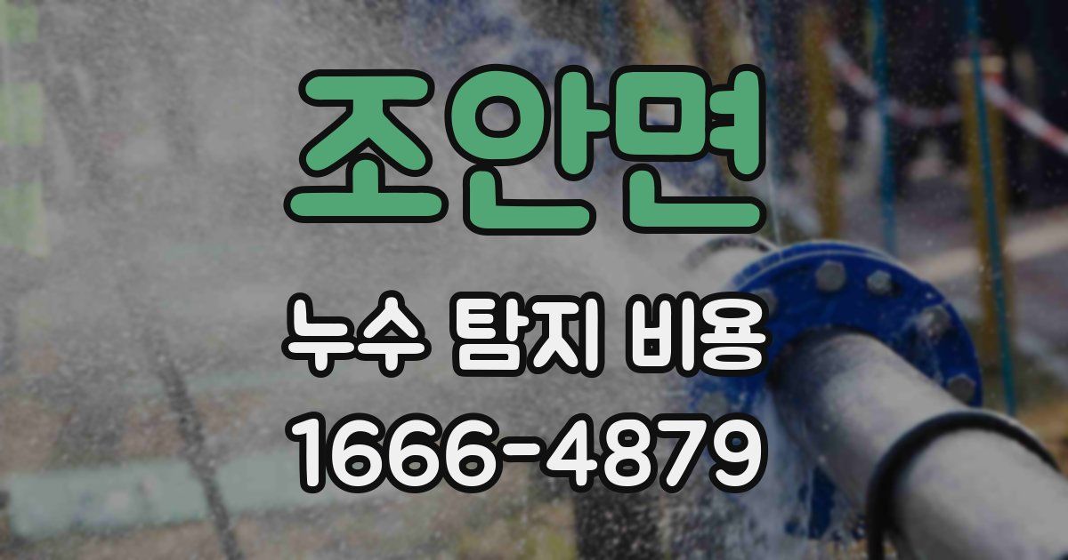 조안면 누수 탐지 비용