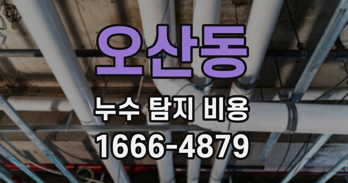 오산동 누수 탐지 비용