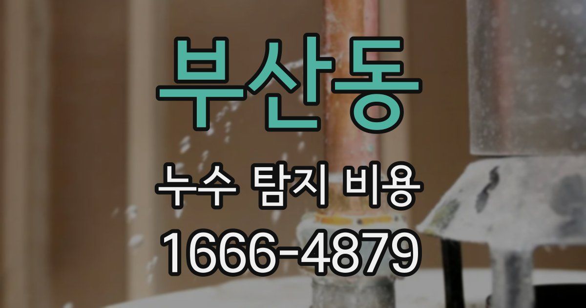 부산동 누수 탐지 비용