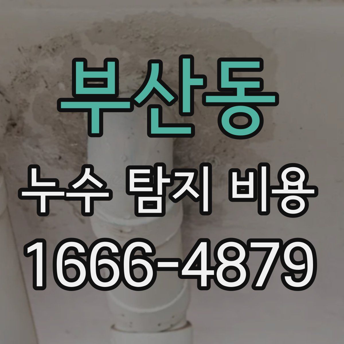 부산동 누수 탐지 비용