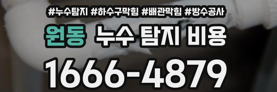 원동 누수 탐지 비용