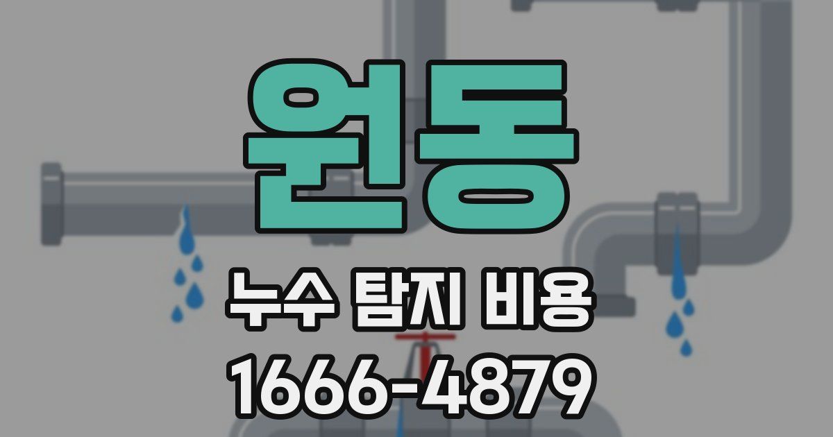 원동 누수 탐지 비용