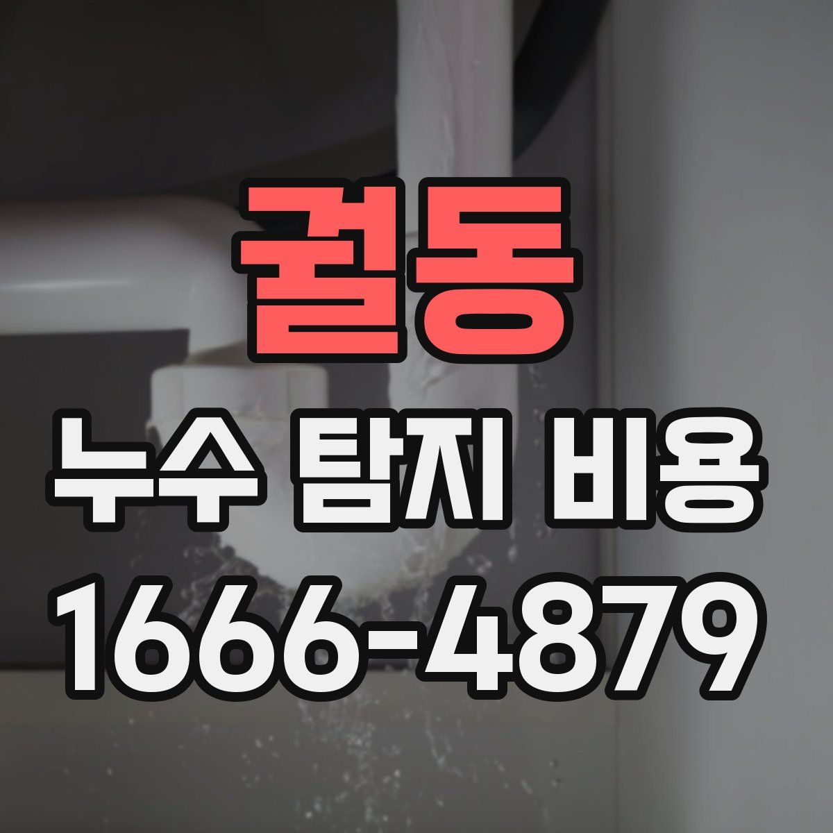궐동 누수 탐지 비용