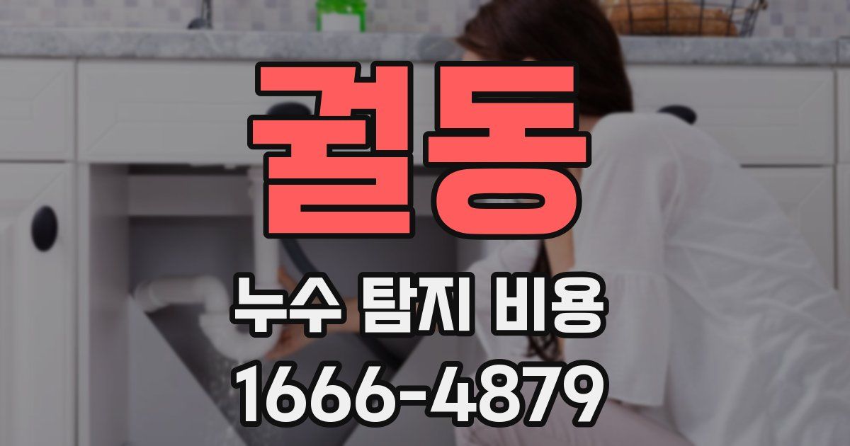 궐동 누수 탐지 비용