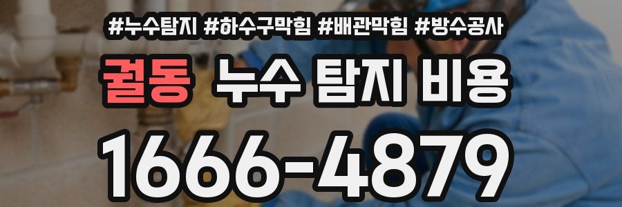 궐동 누수 탐지 비용