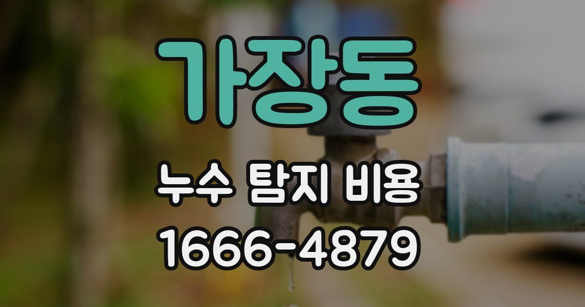 가장동 누수 탐지 비용