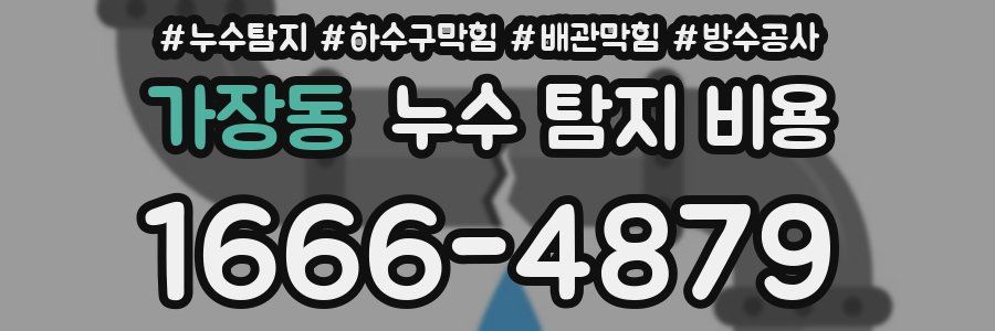가장동 누수 탐지 비용
