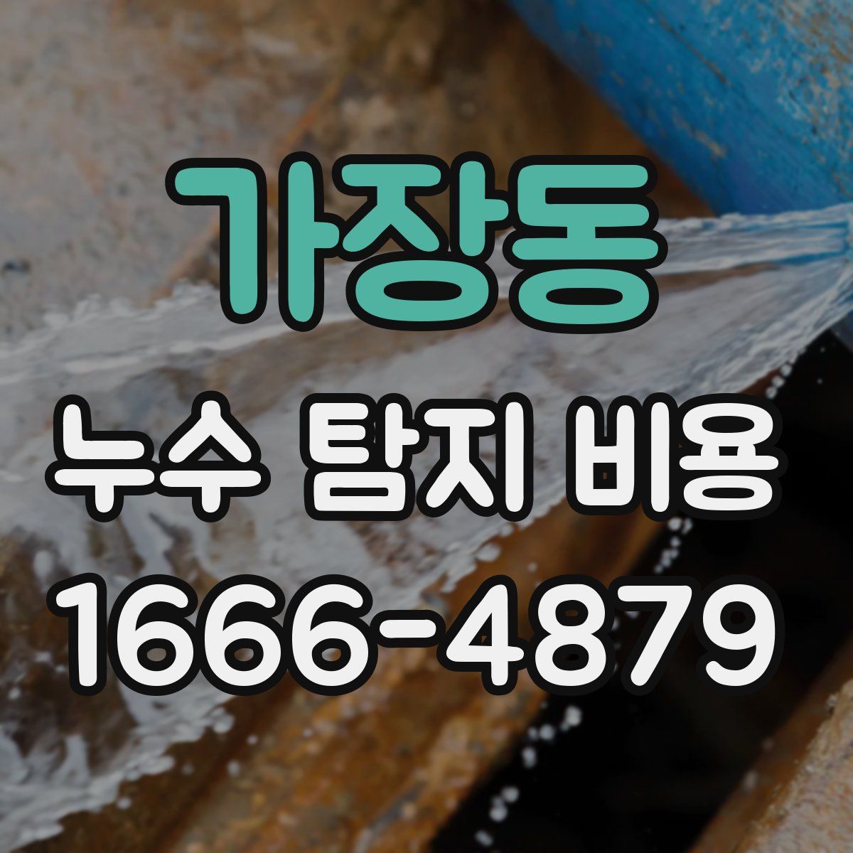 가장동 누수 탐지 비용