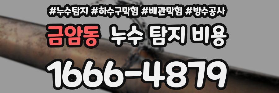 금암동 누수 탐지 비용
