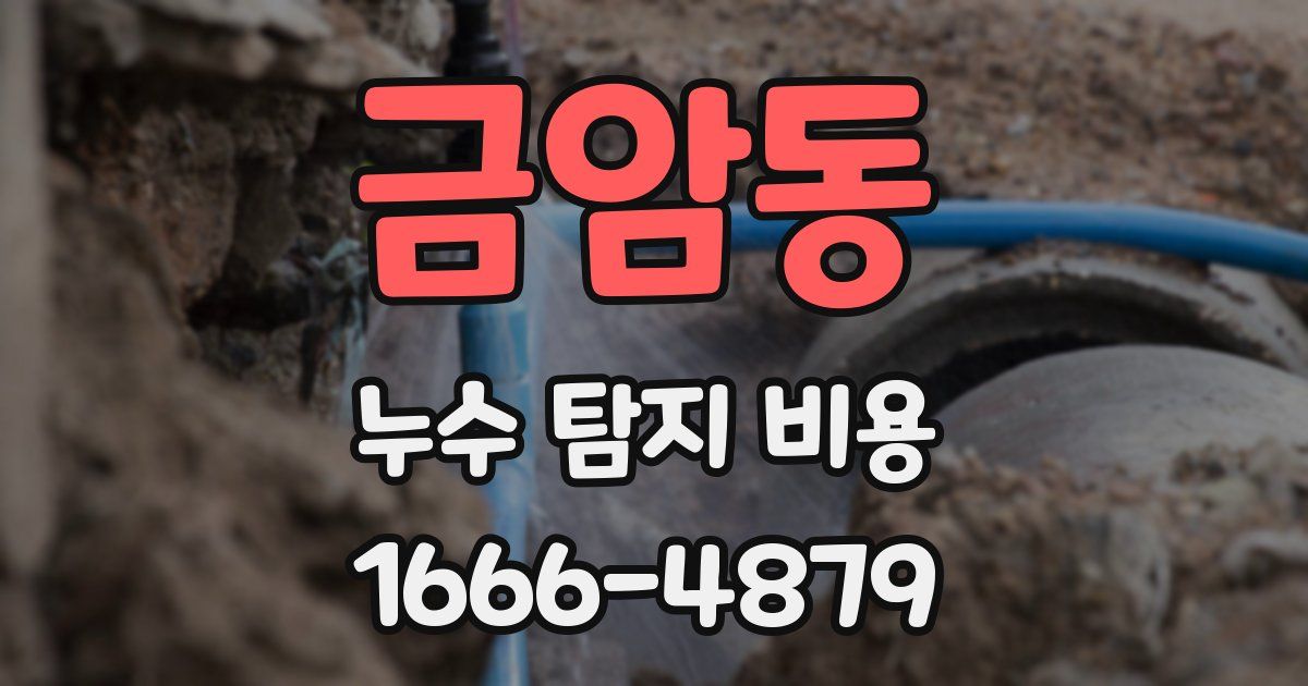 금암동 누수 탐지 비용