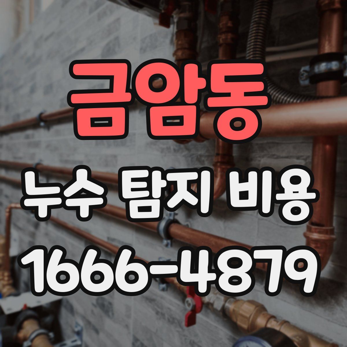 금암동 누수 탐지 비용