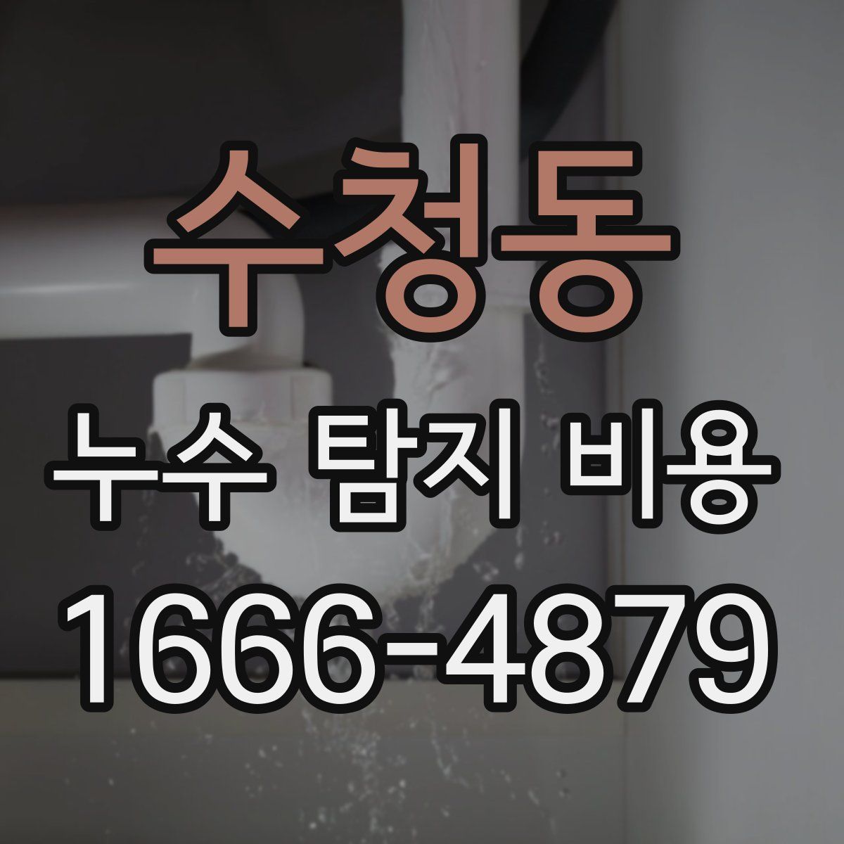 수청동 누수 탐지 비용